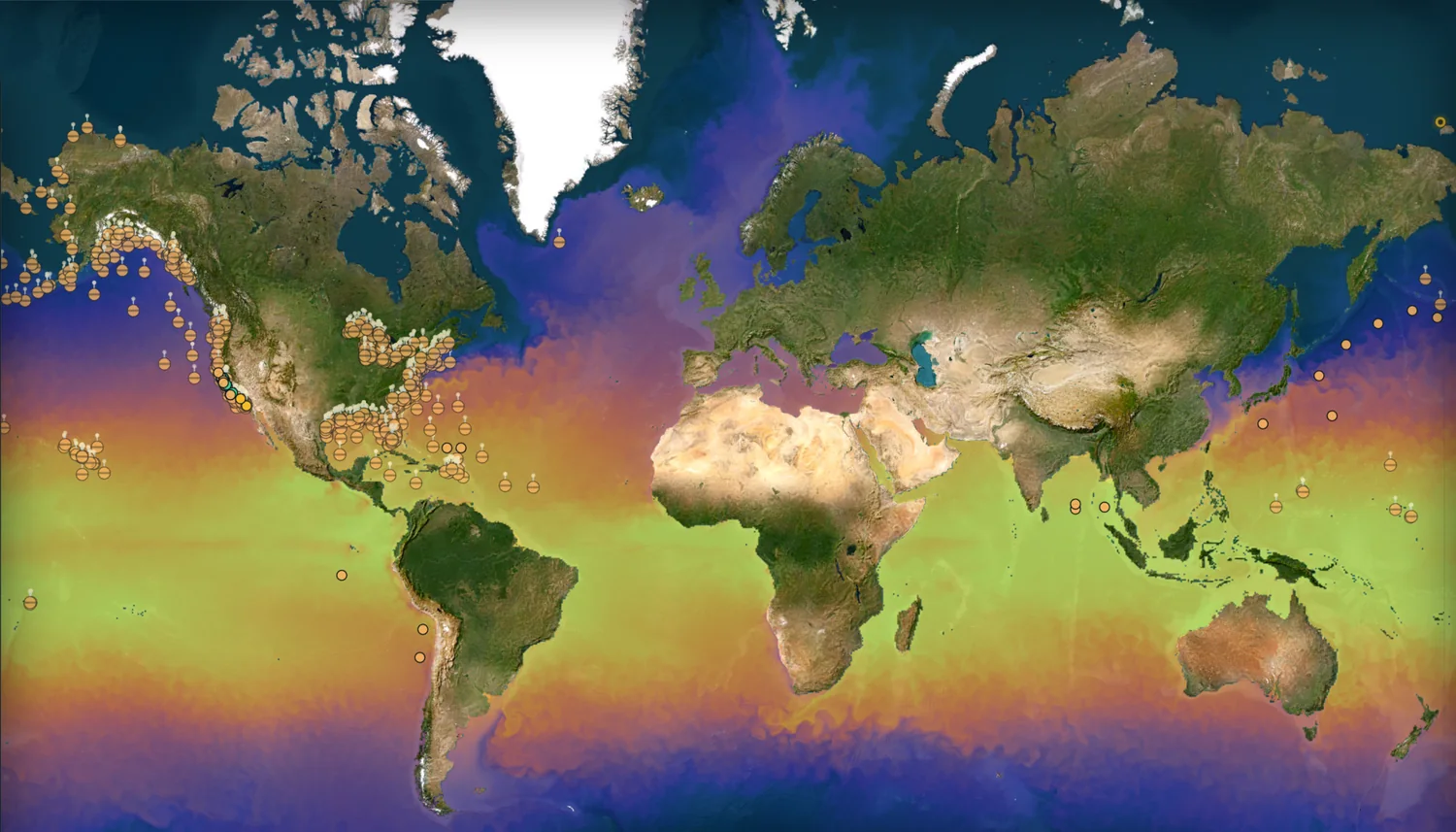 The OMEGA console showing modelled sea-surface temperature across the world's oceans, with reporting stations marked along the coastlines